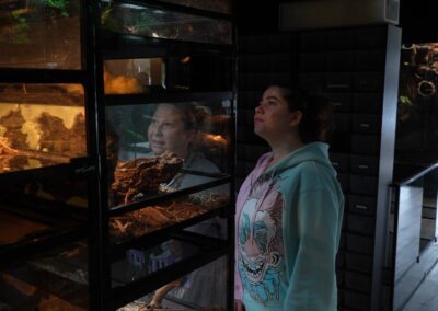 Cold Blooded Kingdom customers looking at reptiles