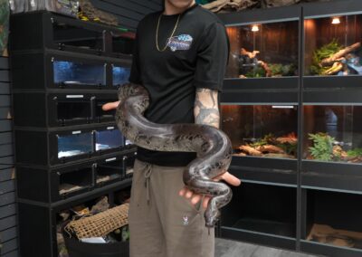 Cold Blooded Kingdom worker holding a snake