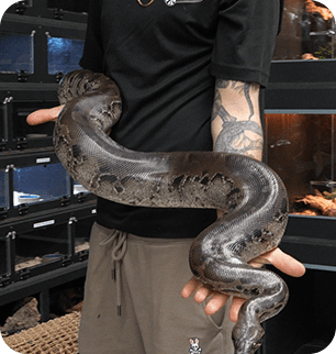 a person holding a snake<br />
